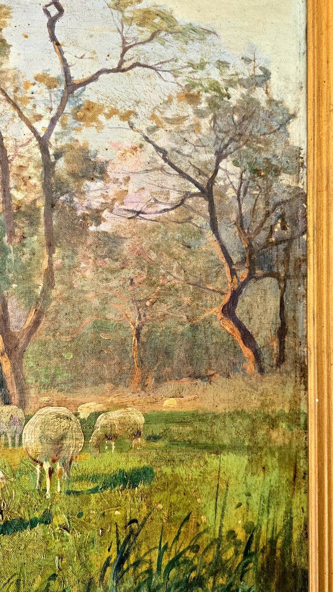 Derians - Huile Sur Toile – Paysage Pastoral Avec Moutons XIX, Signée-photo-4