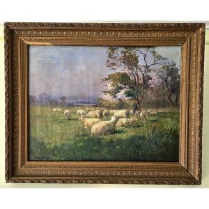 Derians - Huile Sur Toile – Paysage Pastoral Avec Moutons XIX, Signée