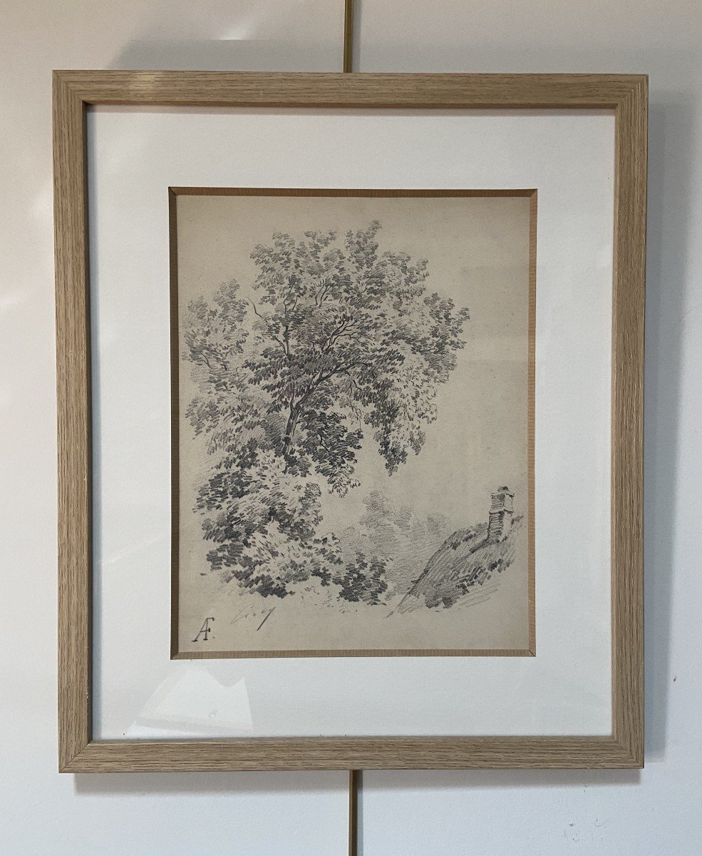 Eugène Cicéri (1813 - 1890) Un arbre au-dessus d'une chaumière, dessin signé-photo-2