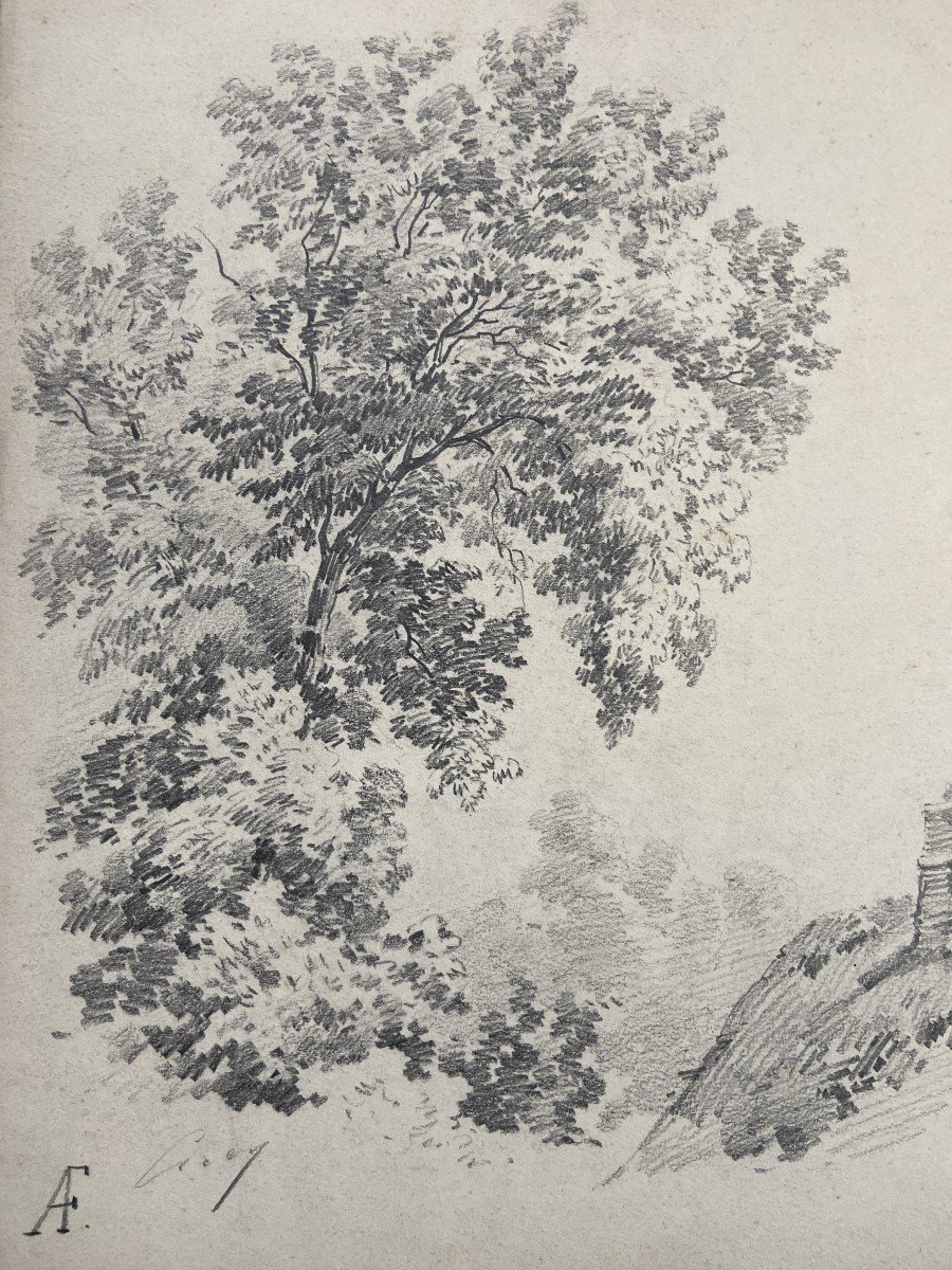 Eugène Cicéri (1813 - 1890) Un arbre au-dessus d'une chaumière, dessin signé-photo-3