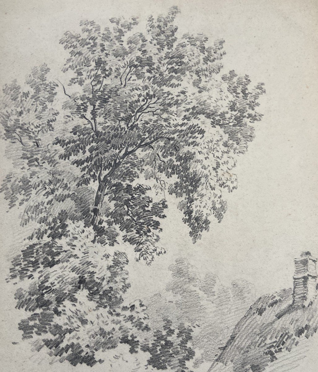 Eugène Cicéri (1813 - 1890) Un arbre au-dessus d'une chaumière, dessin signé-photo-2