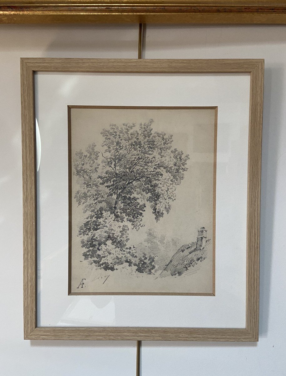 Eugène Cicéri (1813 - 1890) Un arbre au-dessus d'une chaumière, dessin signé-photo-5