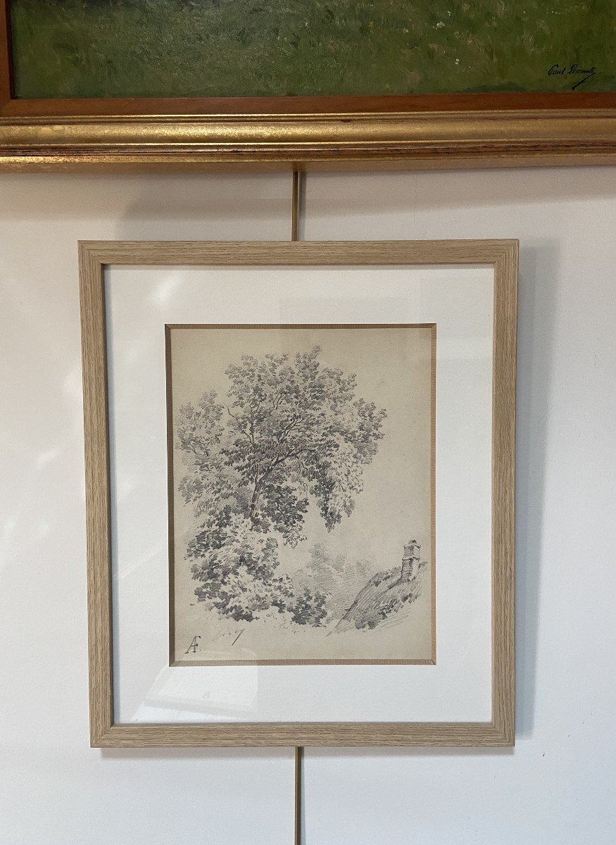 Eugène Cicéri (1813 - 1890) Un arbre au-dessus d'une chaumière, dessin signé-photo-6