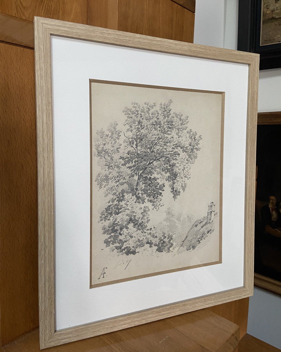 Eugène Cicéri (1813 - 1890) Un arbre au-dessus d'une chaumière, dessin signé-photo-7