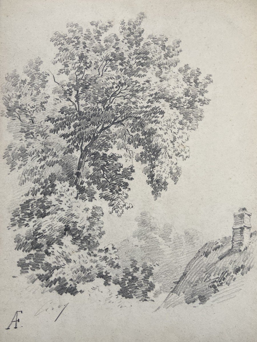 Eugène Cicéri (1813 - 1890) Un arbre au-dessus d'une chaumière, dessin signé