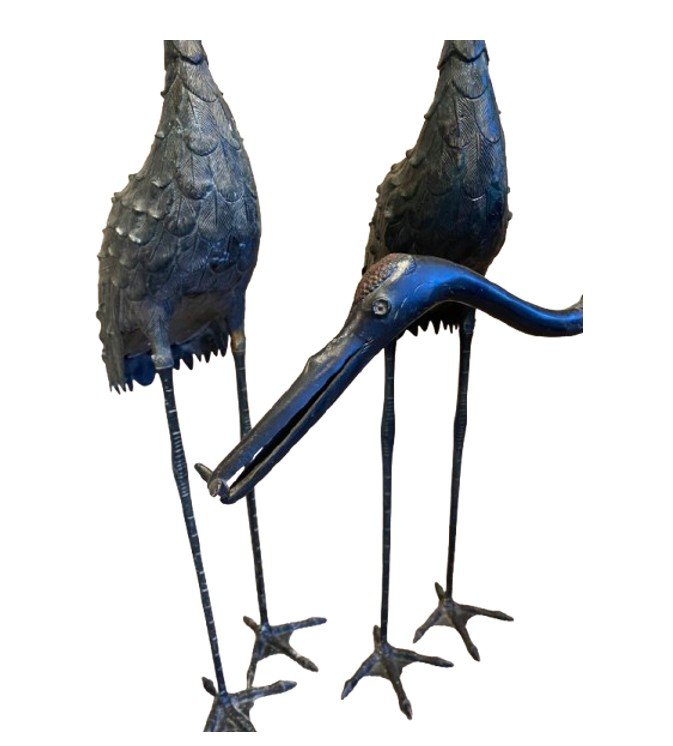 Bronze Herons-photo-2