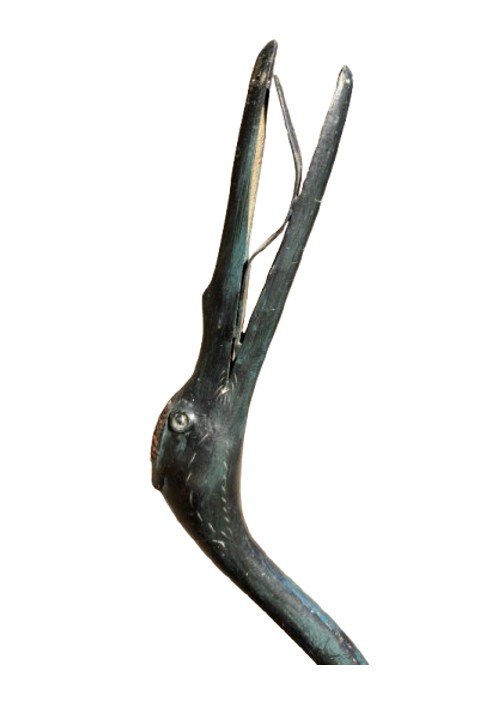 Bronze Herons-photo-3