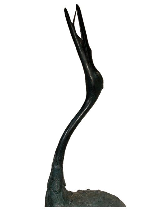 Bronze Herons-photo-2