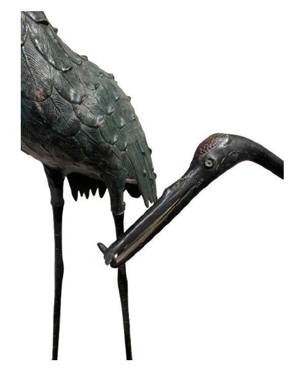 Bronze Herons-photo-3