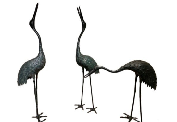 Bronze Herons