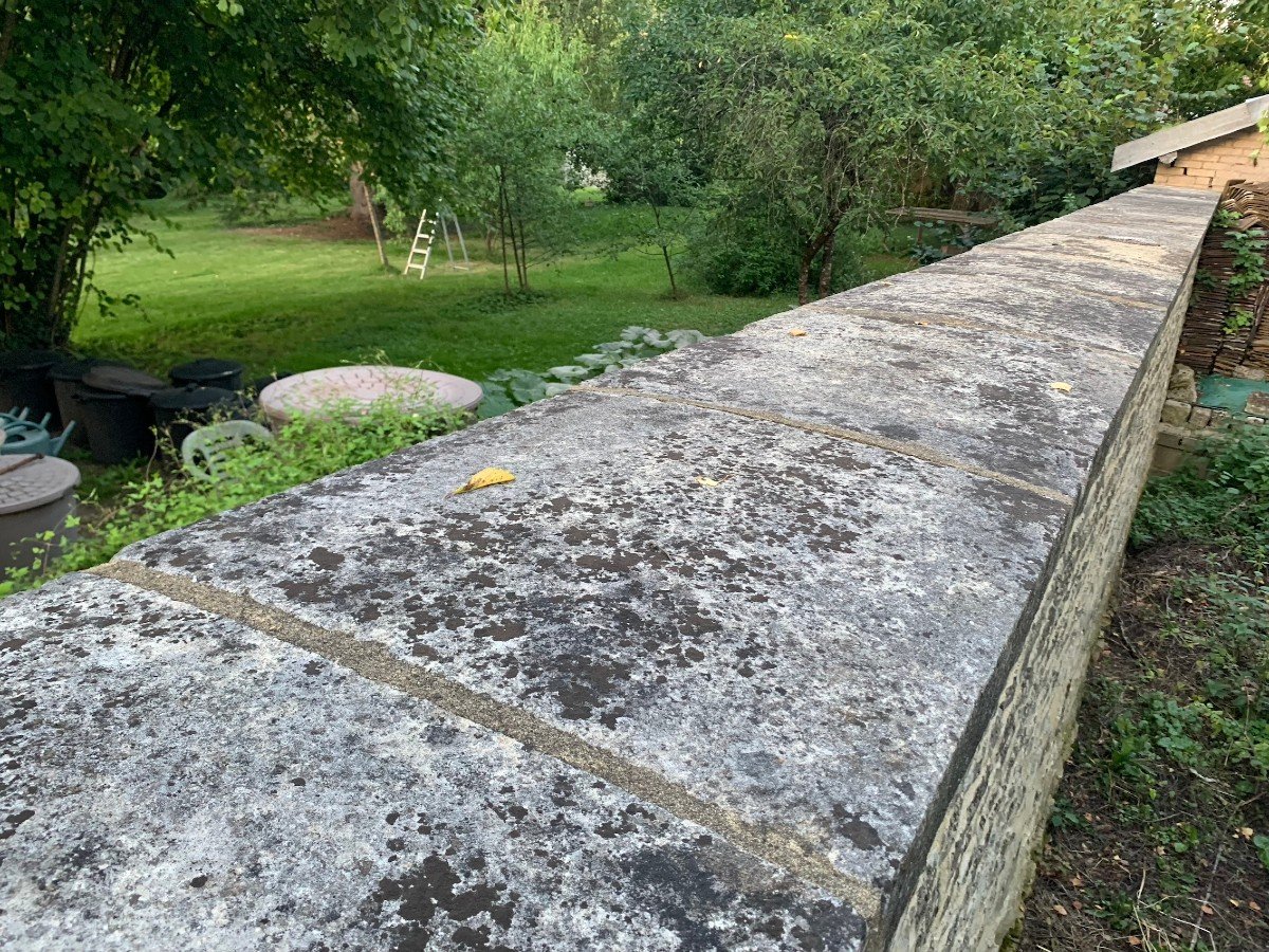 COUVERTINES ; OU COMMENT LA BOURGOGNE COUVRE SES MURS-photo-3