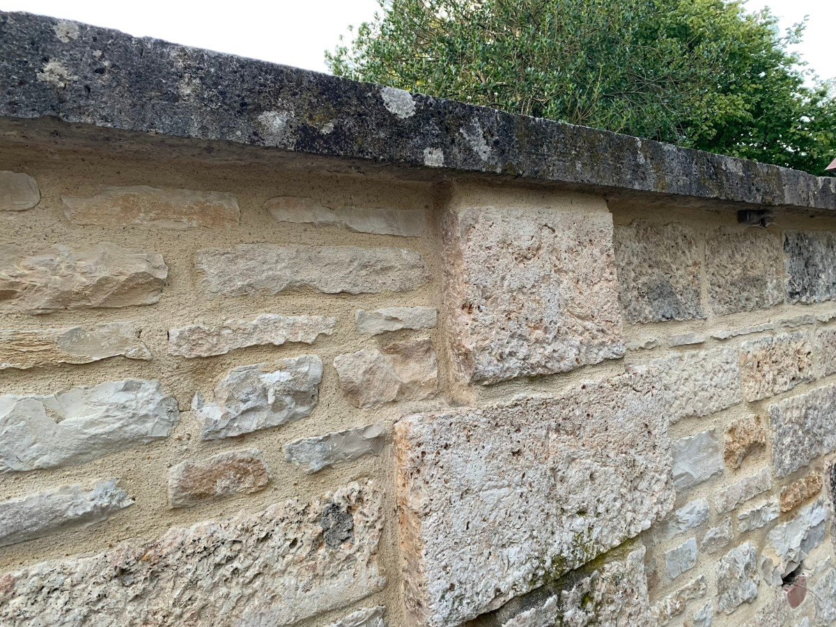 COUVERTINES ; OU COMMENT LA BOURGOGNE COUVRE SES MURS-photo-5