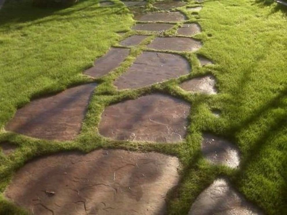 Vegetable Paths With Sandstone Slabs-photo-7