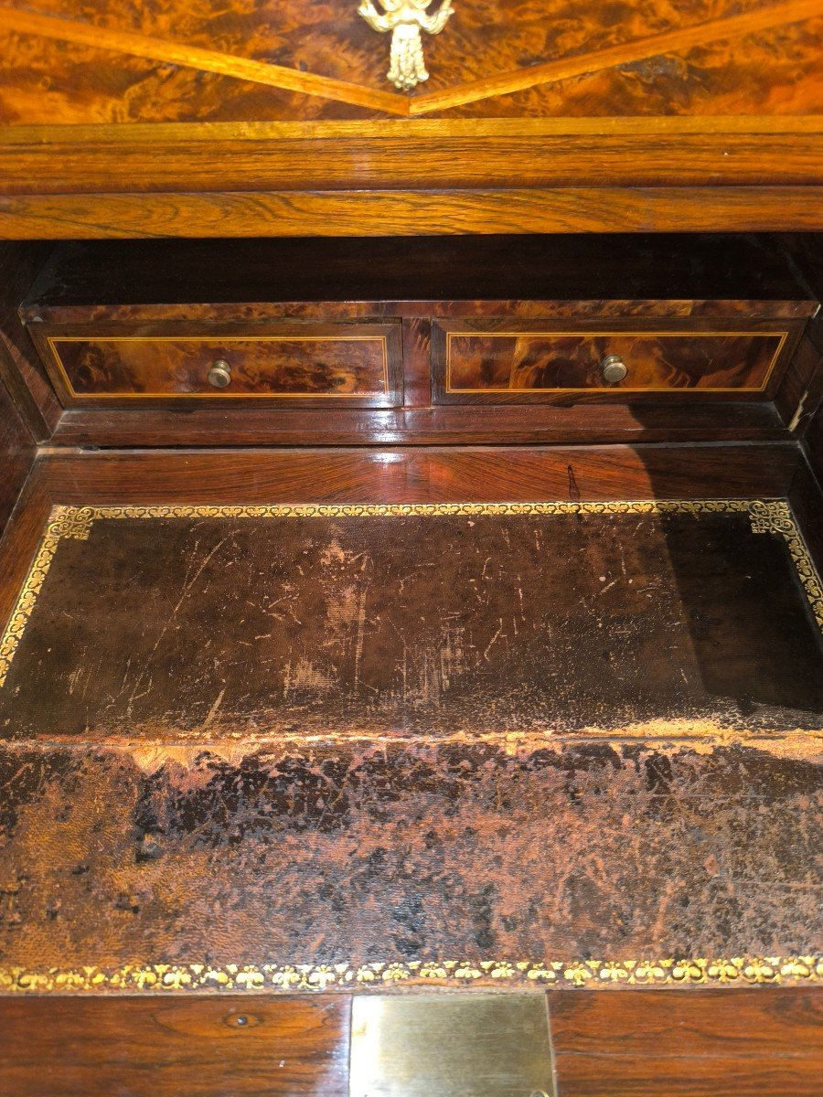 Small Secretary Chest In Thuja Burl Veneer In Rosewood Frames-photo-4