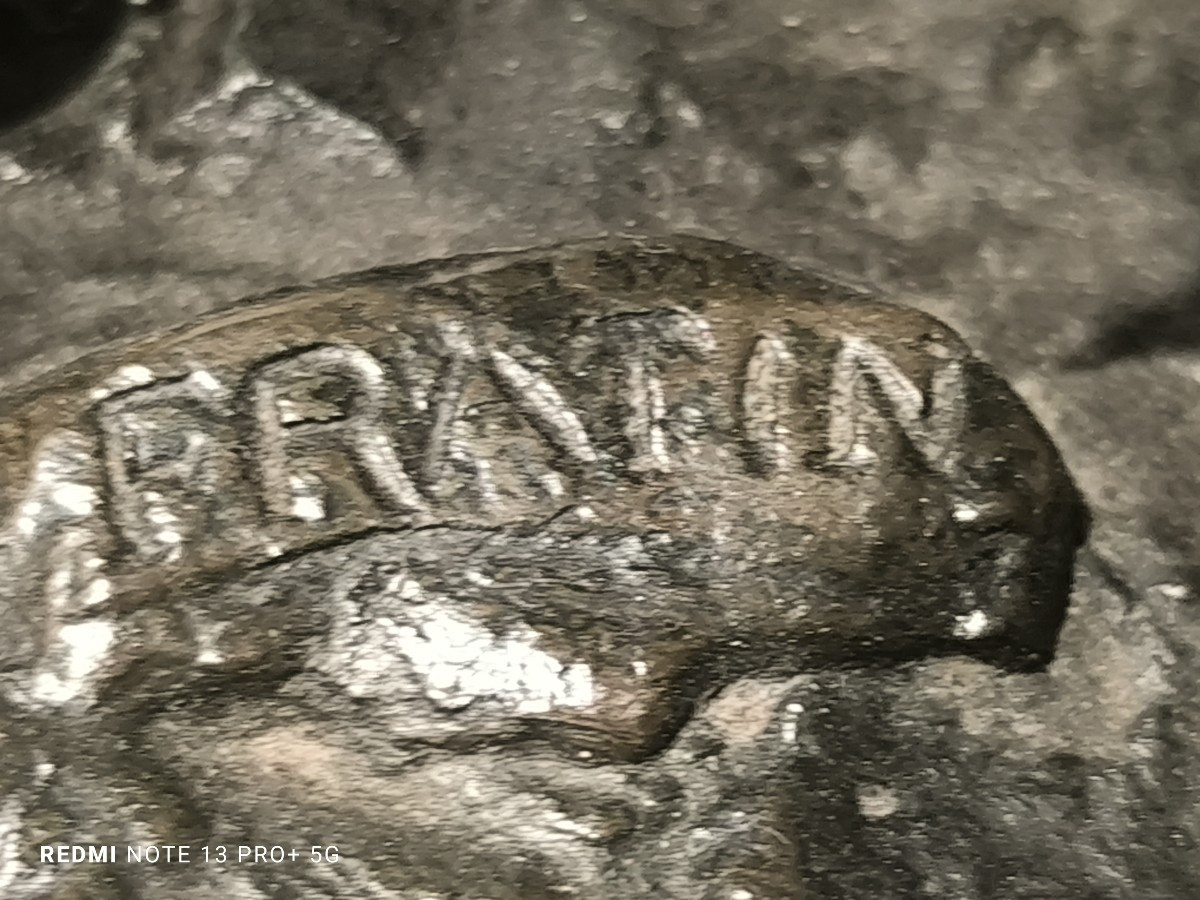 Bronze With Patina Medal: Rottweiler Having Broken Its Chain-photo-3