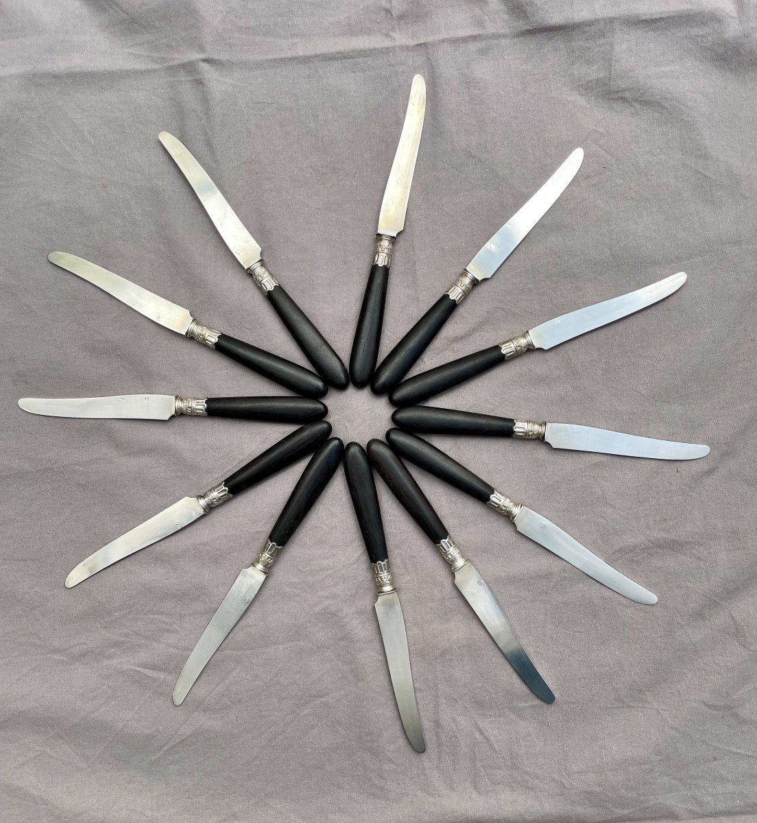 Paul Canaux (& Cie) Box Of 12 Dessert Fruit Knives, Solid Silver Blades, Ebony Handles -photo-1