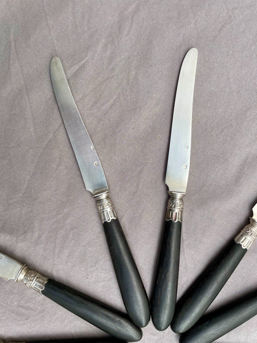 Paul Canaux (& Cie) Box Of 12 Dessert Fruit Knives, Solid Silver Blades, Ebony Handles -photo-8