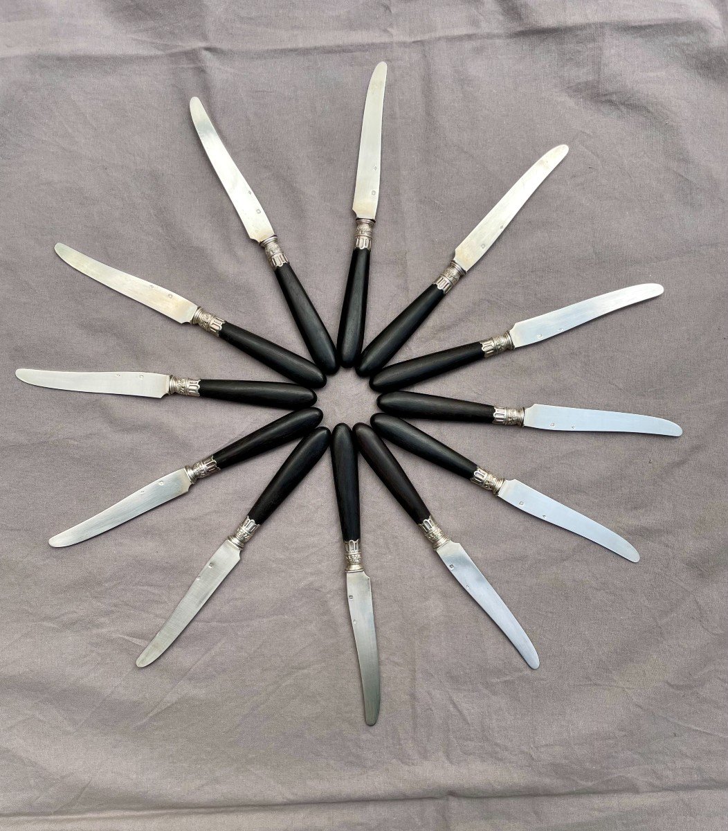 Paul Canaux (& Cie) Box Of 12 Dessert Fruit Knives, Solid Silver Blades, Ebony Handles 