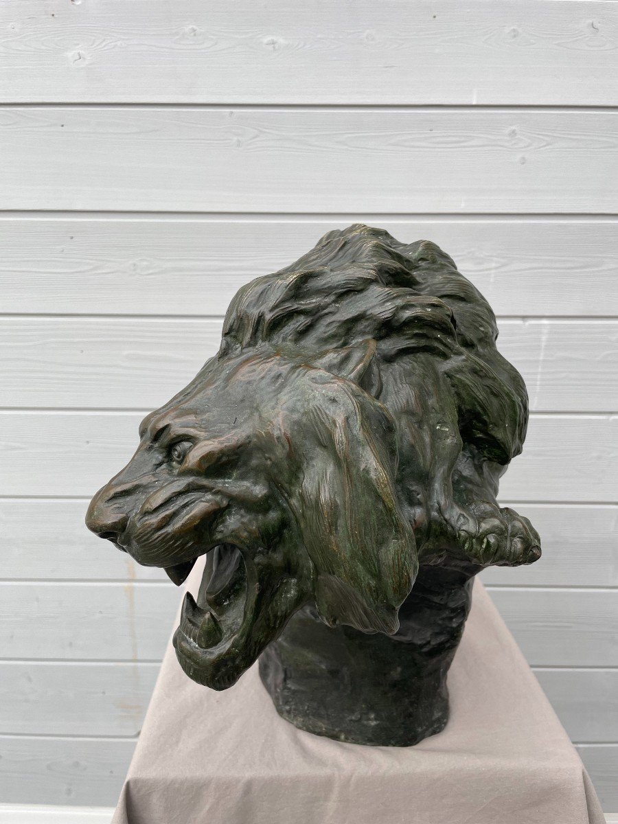 Thomas François Cartier 1879 -1943 Roaring Lion Sculpture Bronze With Green Patina 30kg 60x36cm-photo-2