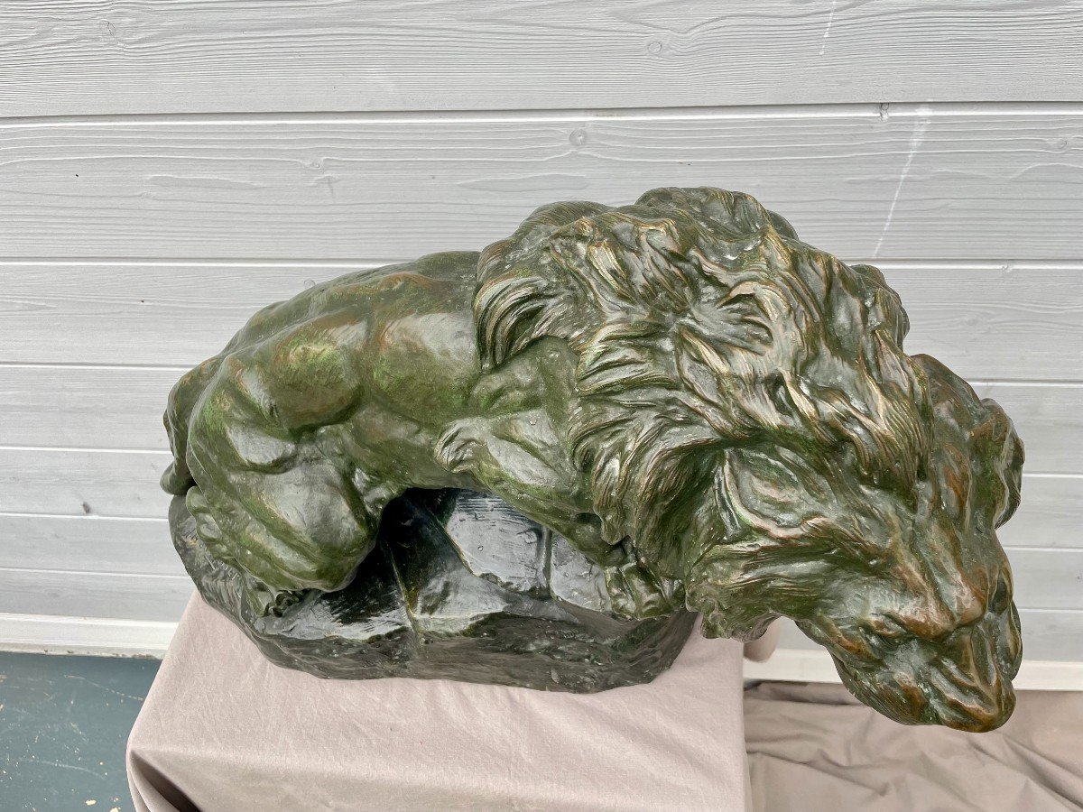 Thomas François Cartier 1879 -1943 Roaring Lion Sculpture Bronze With Green Patina 30kg 60x36cm-photo-1