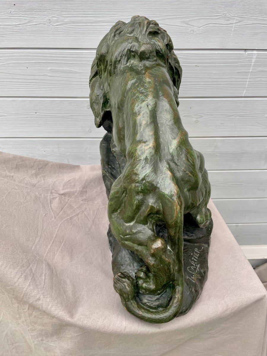 Thomas François Cartier 1879 -1943 Roaring Lion Sculpture Bronze With Green Patina 30kg 60x36cm-photo-5