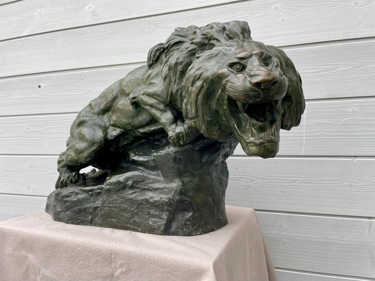 Thomas François Cartier 1879 -1943 Roaring Lion Sculpture Bronze With Green Patina 30kg 60x36cm-photo-7