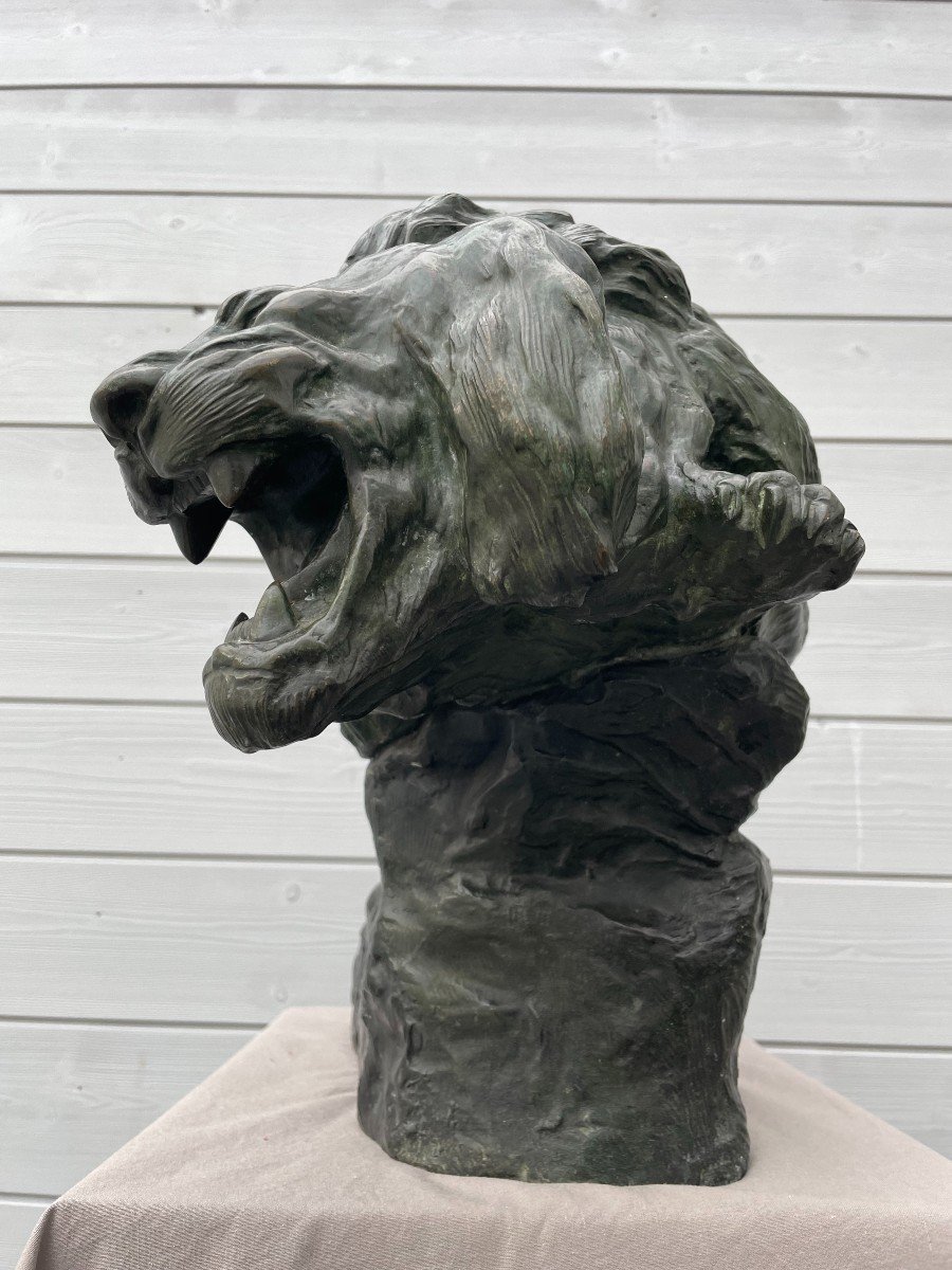 Thomas François Cartier 1879 -1943 Roaring Lion Sculpture Bronze With Green Patina 30kg 60x36cm-photo-8