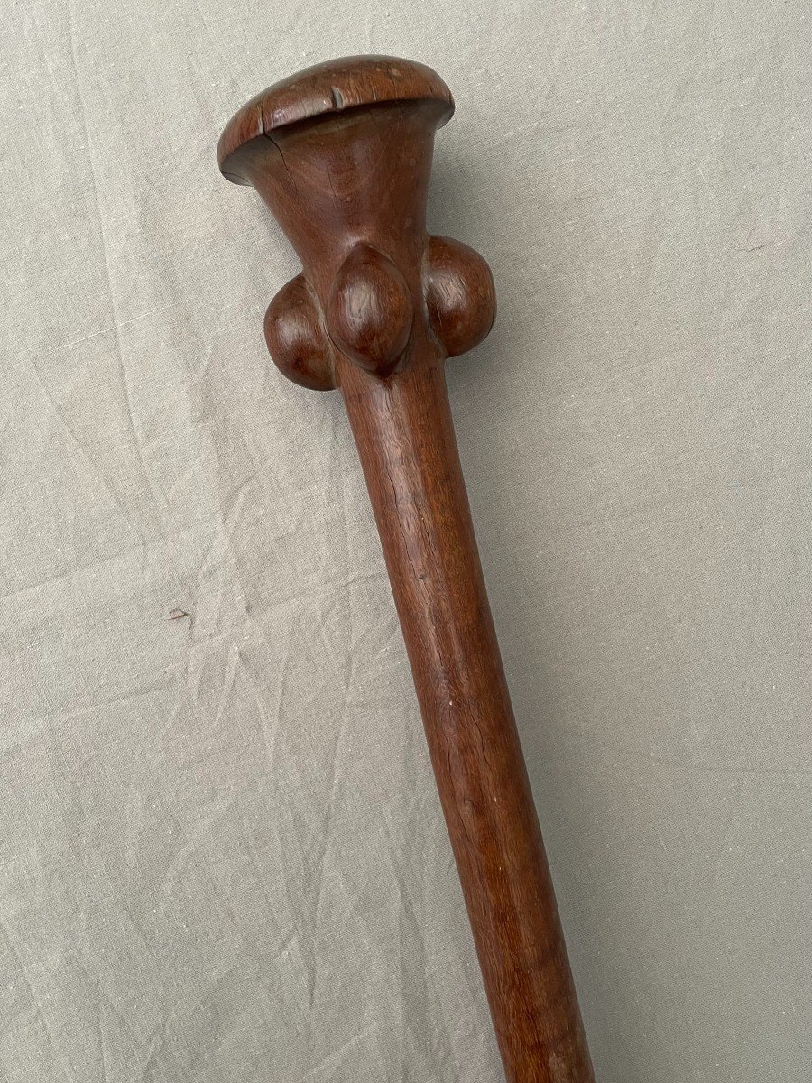 War Massue Head Breaker Vanuatu Island, Melanesia 19th Century. 78 Cm Mushroom Head -photo-7