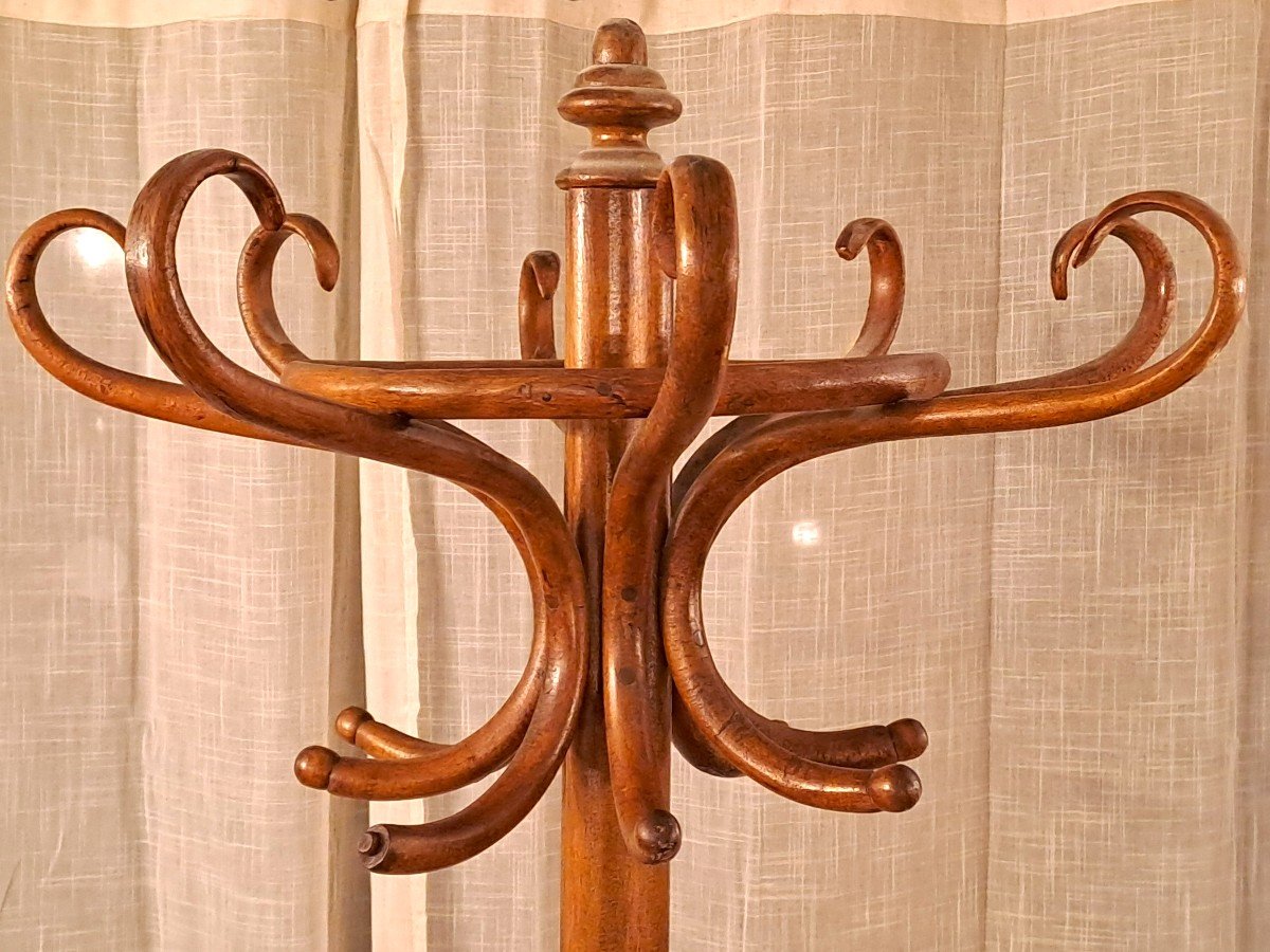 Thonet Jugendstil Parrot Coat Rack With 8 Branches, Early 20th Century-photo-2