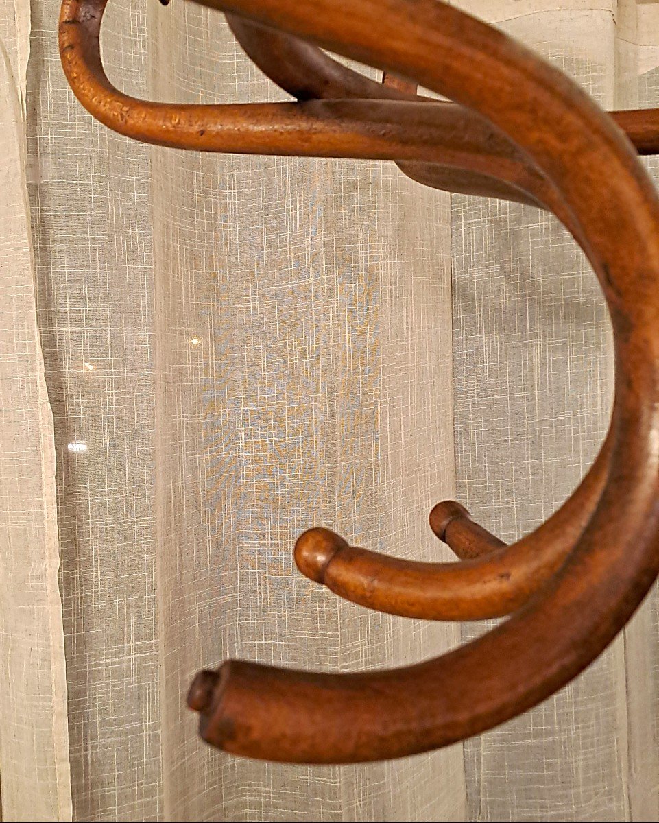 Thonet Jugendstil Parrot Coat Rack With 8 Branches, Early 20th Century-photo-3