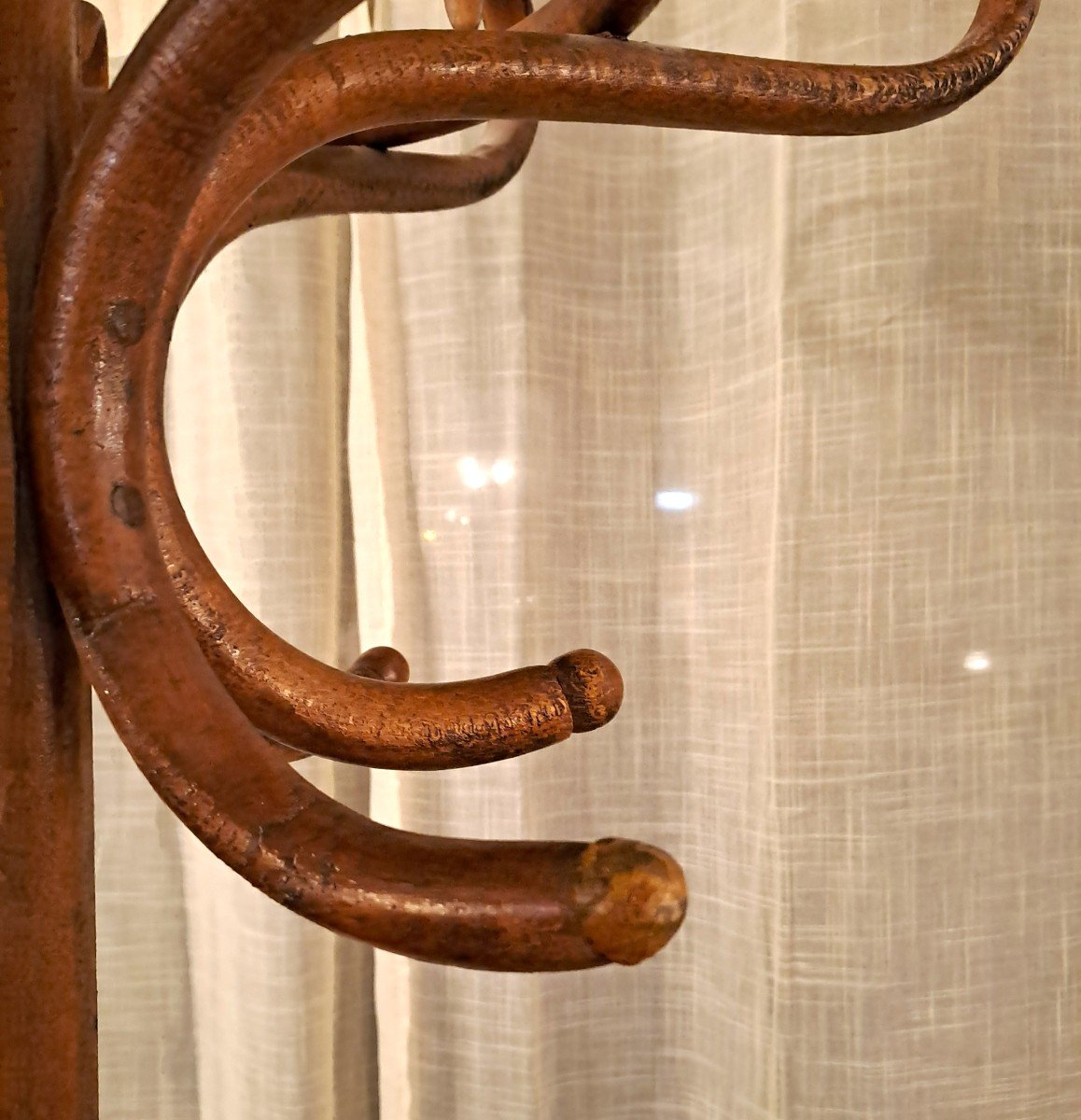 Thonet Jugendstil Parrot Coat Rack With 8 Branches, Early 20th Century-photo-4