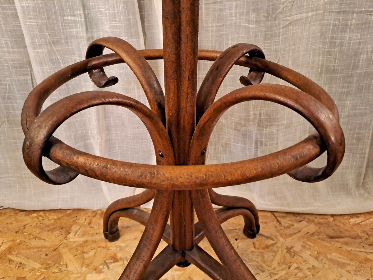 Thonet Jugendstil Parrot Coat Rack With 8 Branches, Early 20th Century-photo-7