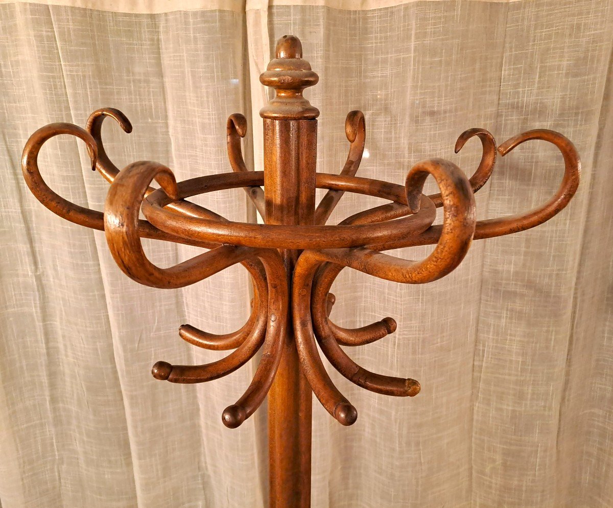 Thonet Jugendstil Parrot Coat Rack With 8 Branches, Early 20th Century-photo-8