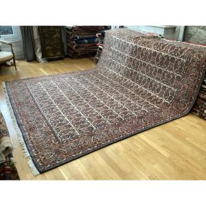 Bidjar Rug 3.40 X 2.55