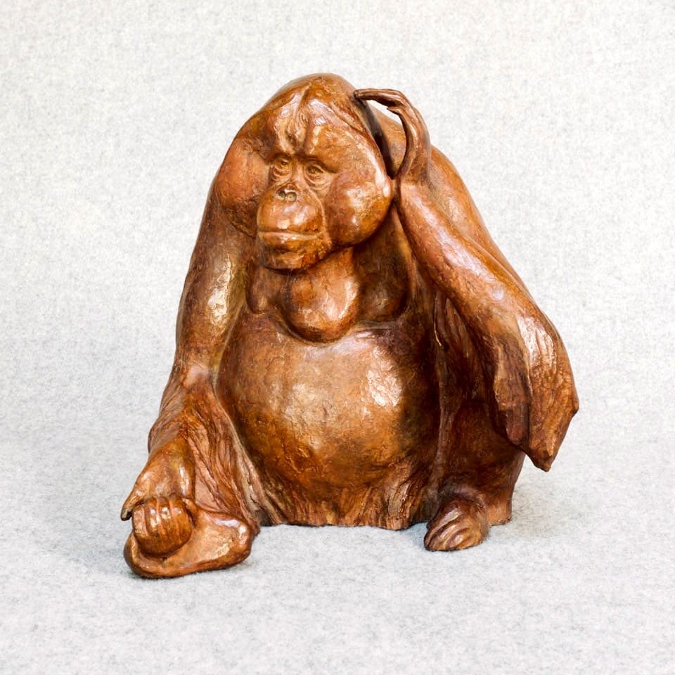 Animal Bronze "orangutan" By Florence Jacquesson-photo-4