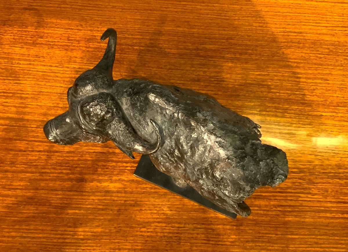 Bronze Animal By Florence Jacquesson "fragment Of Buffalo"-photo-1