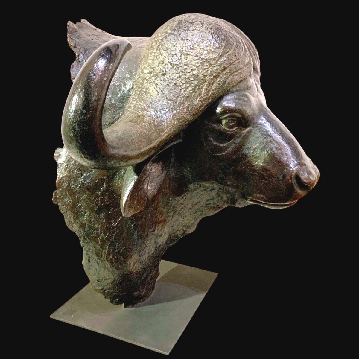 Buste De Buffle En Bronze-photo-4