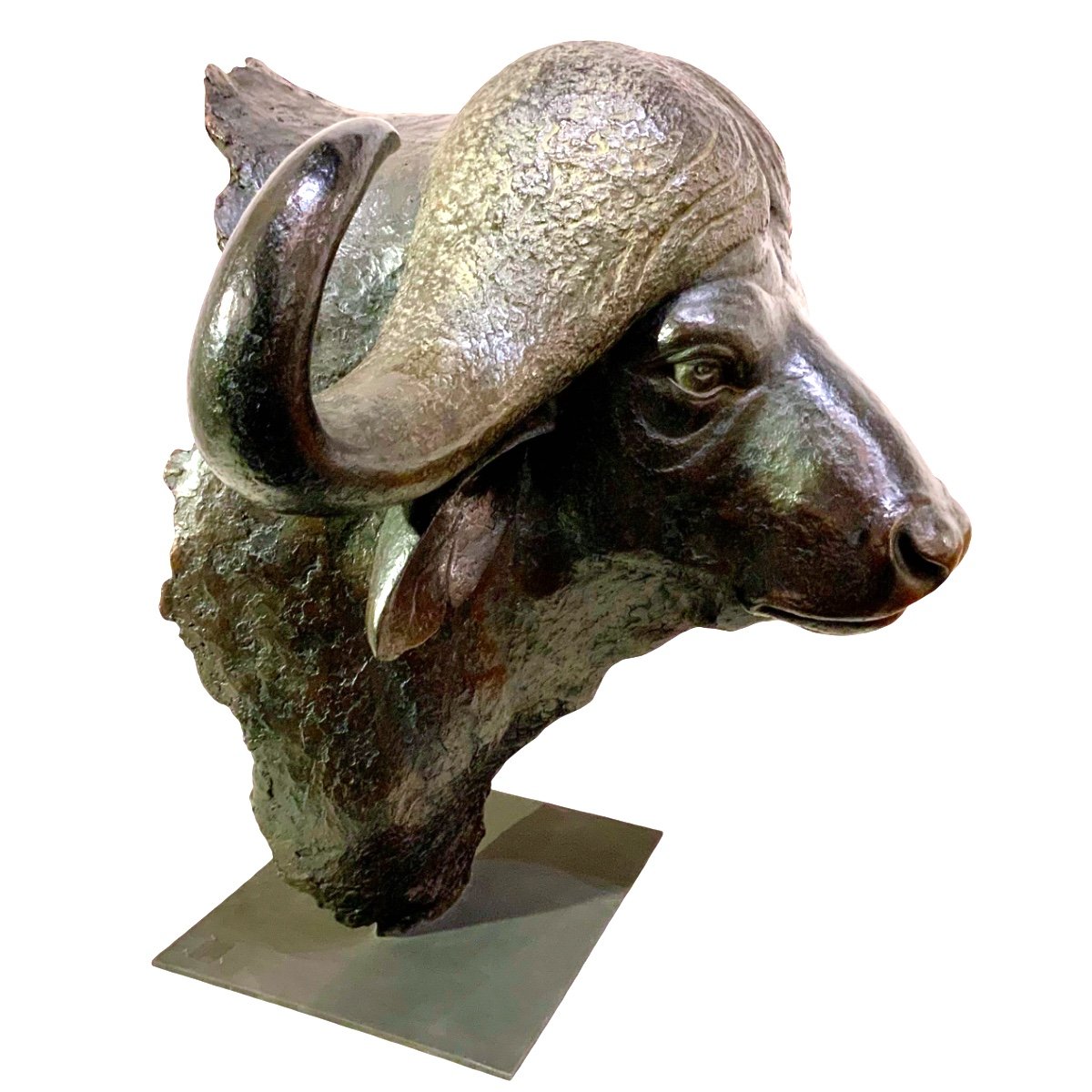 Buste De Buffle En Bronze-photo-4