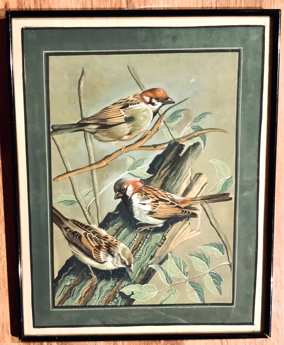 Aquarelle, Gouachée Sur Papier « oiseaux »