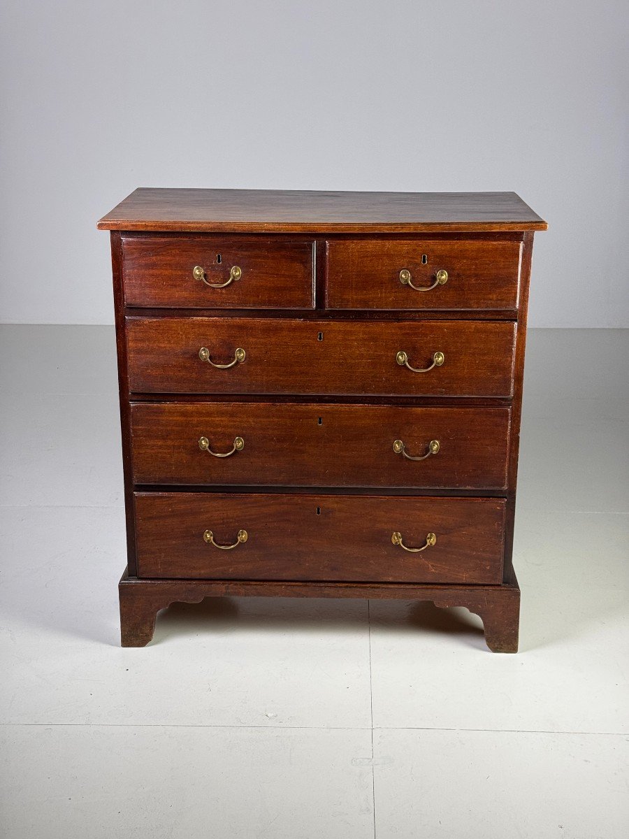 Mahogany Chest Of Drawers-photo-4