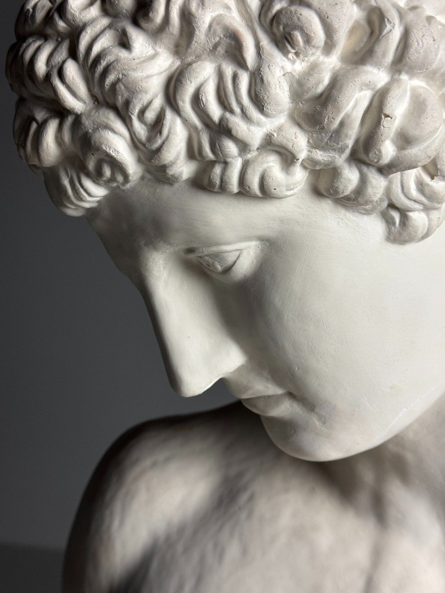 Antinous Plaster Bust-photo-3