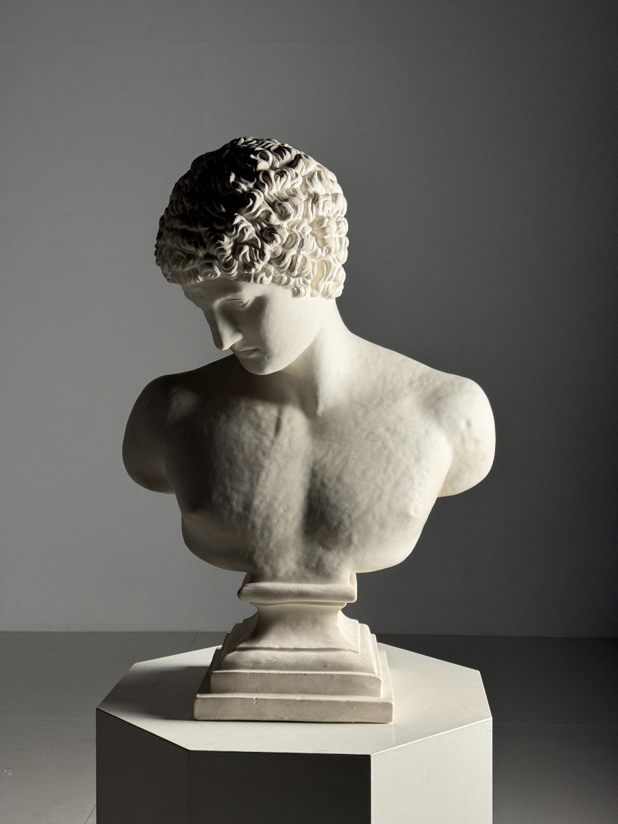 Antinous Plaster Bust-photo-4