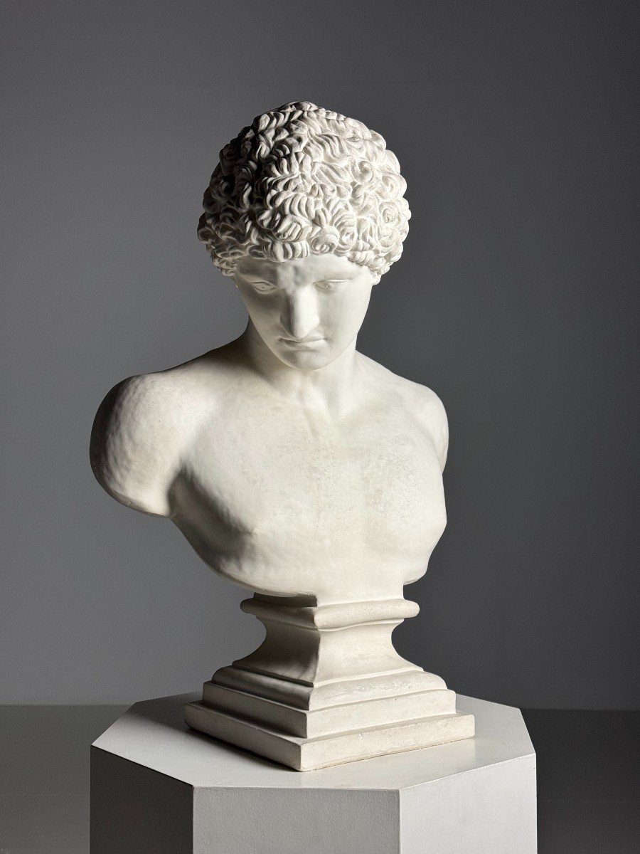 Antinous Plaster Bust-photo-4