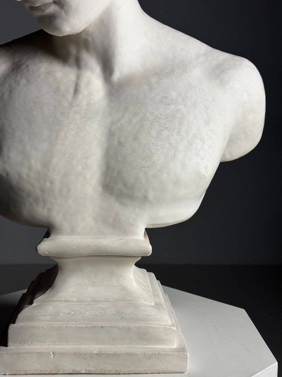 Antinous Plaster Bust-photo-6