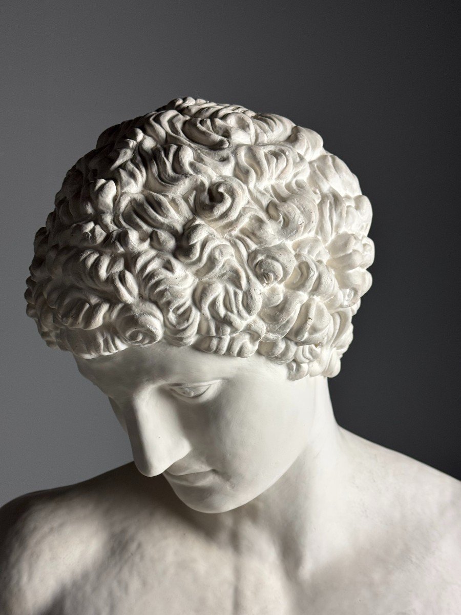 Antinous Plaster Bust-photo-7