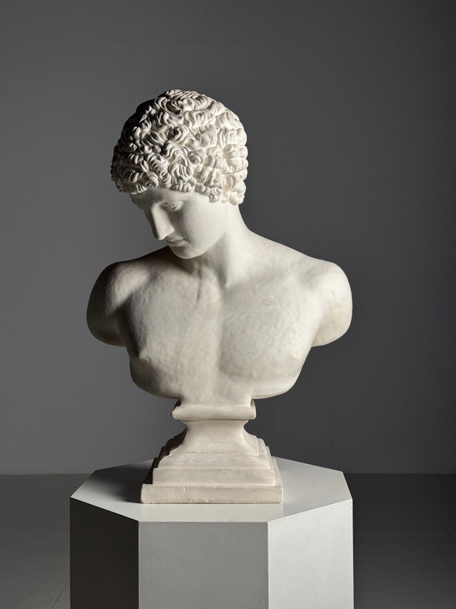 Antinous Plaster Bust-photo-8