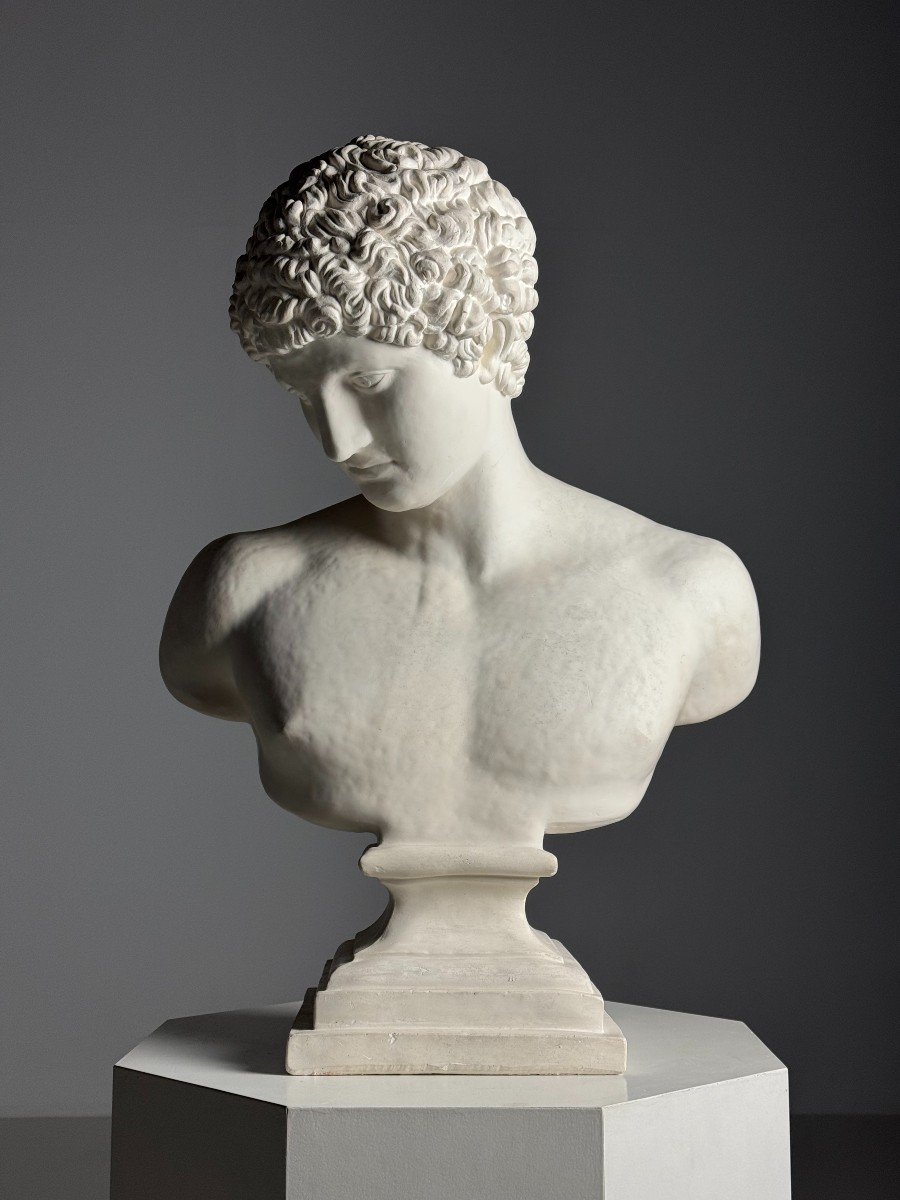 Antinous Plaster Bust