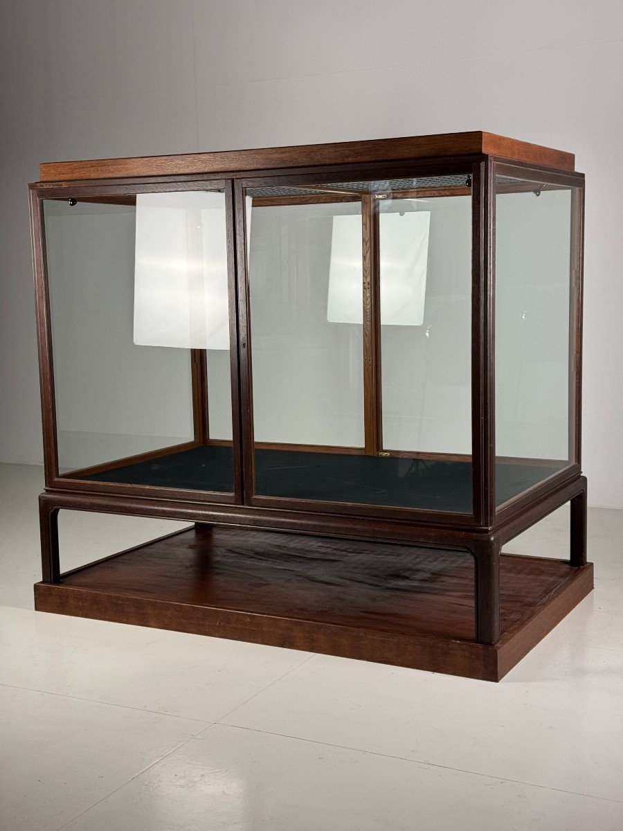 1900 Oak Museum Display Case-photo-8