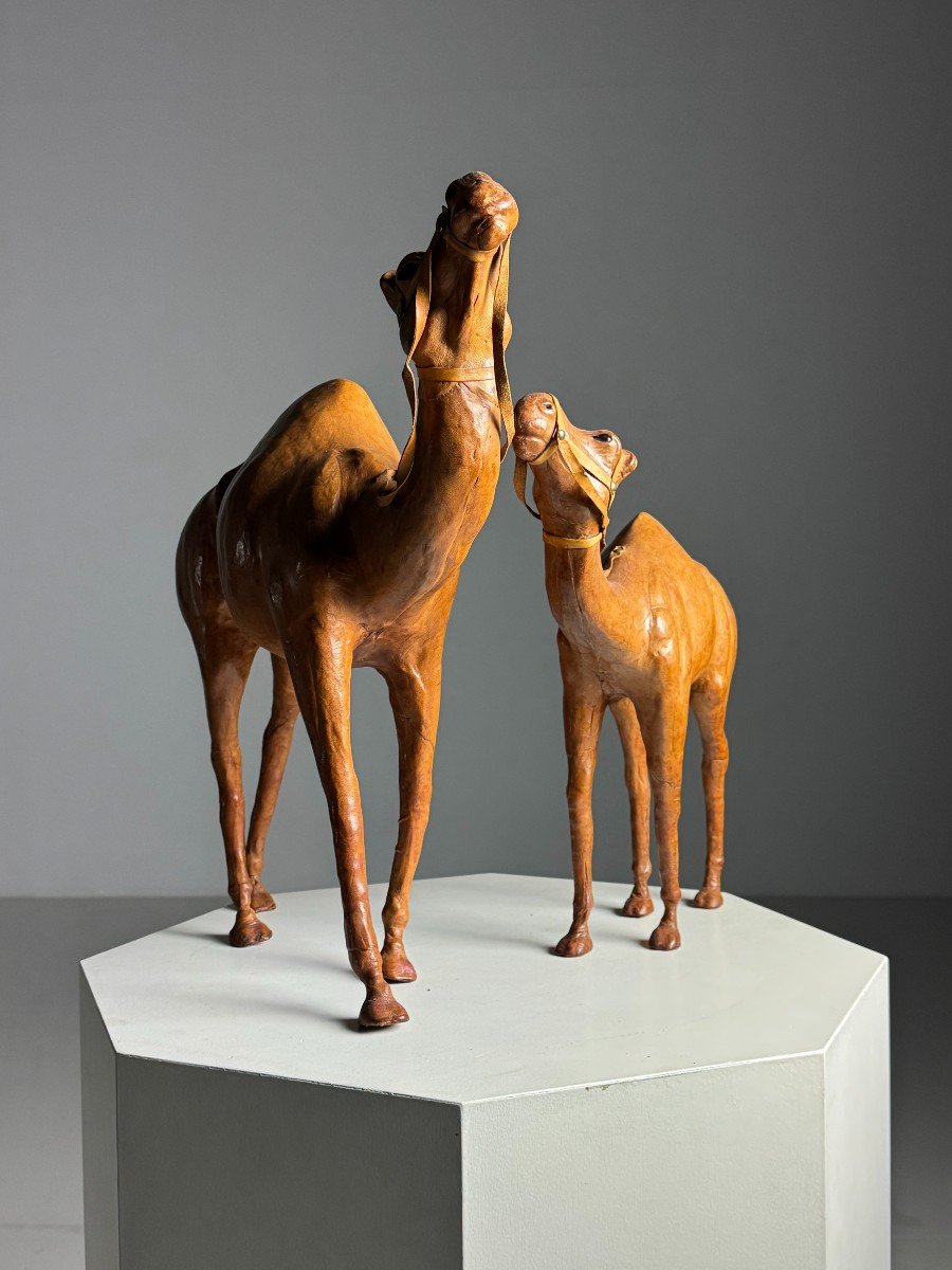 Set Of 2 English Dromedaries In Leather-photo-3