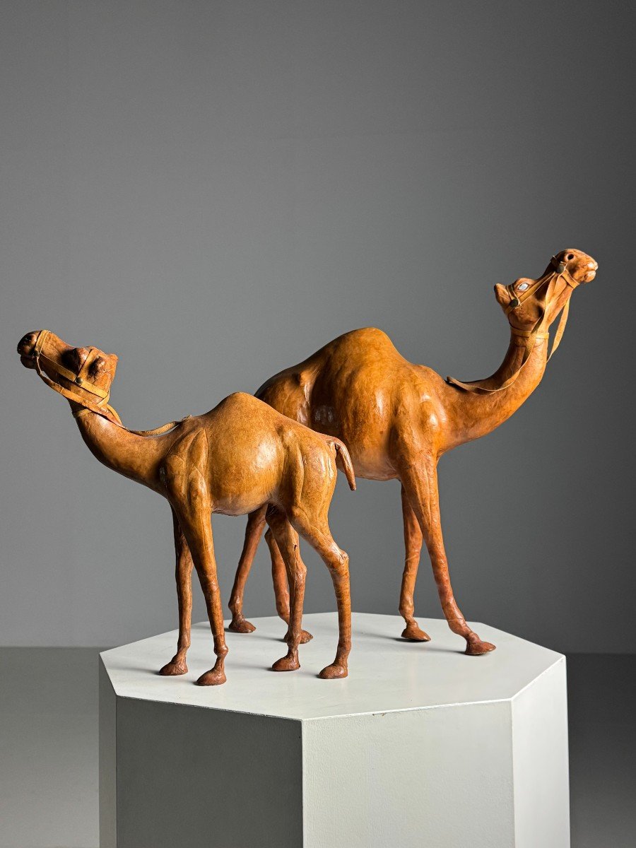 Set Of 2 English Dromedaries In Leather-photo-4